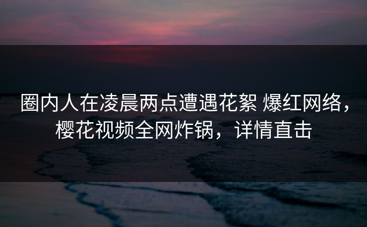 圈内人在凌晨两点遭遇花絮 爆红网络，樱花视频全网炸锅，详情直击