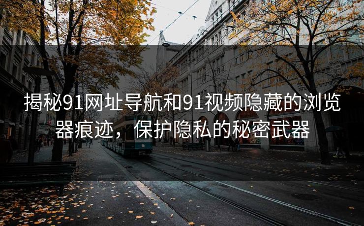 揭秘91网址导航和91视频隐藏的浏览器痕迹，保护隐私的秘密武器
